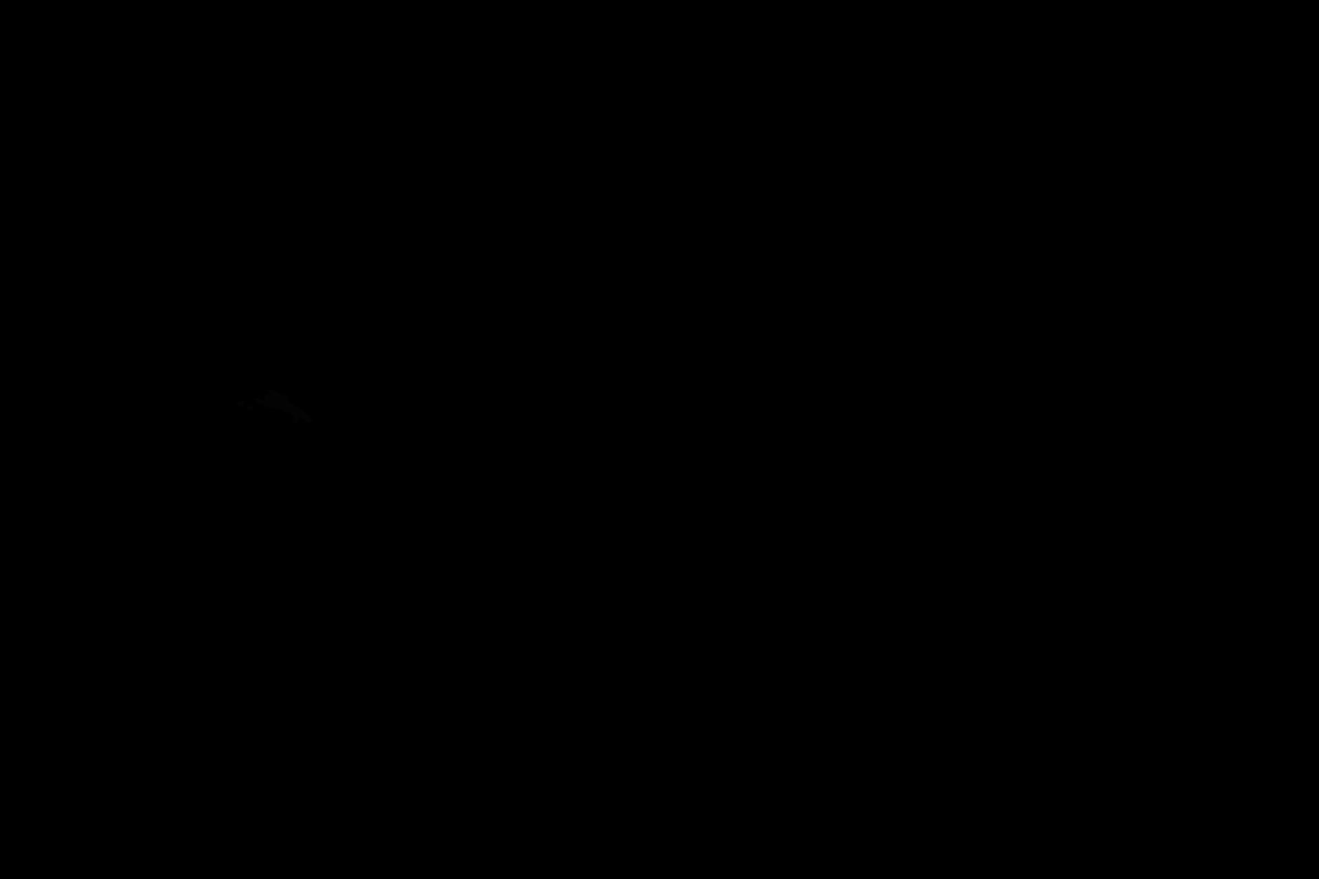 000018_mask.png