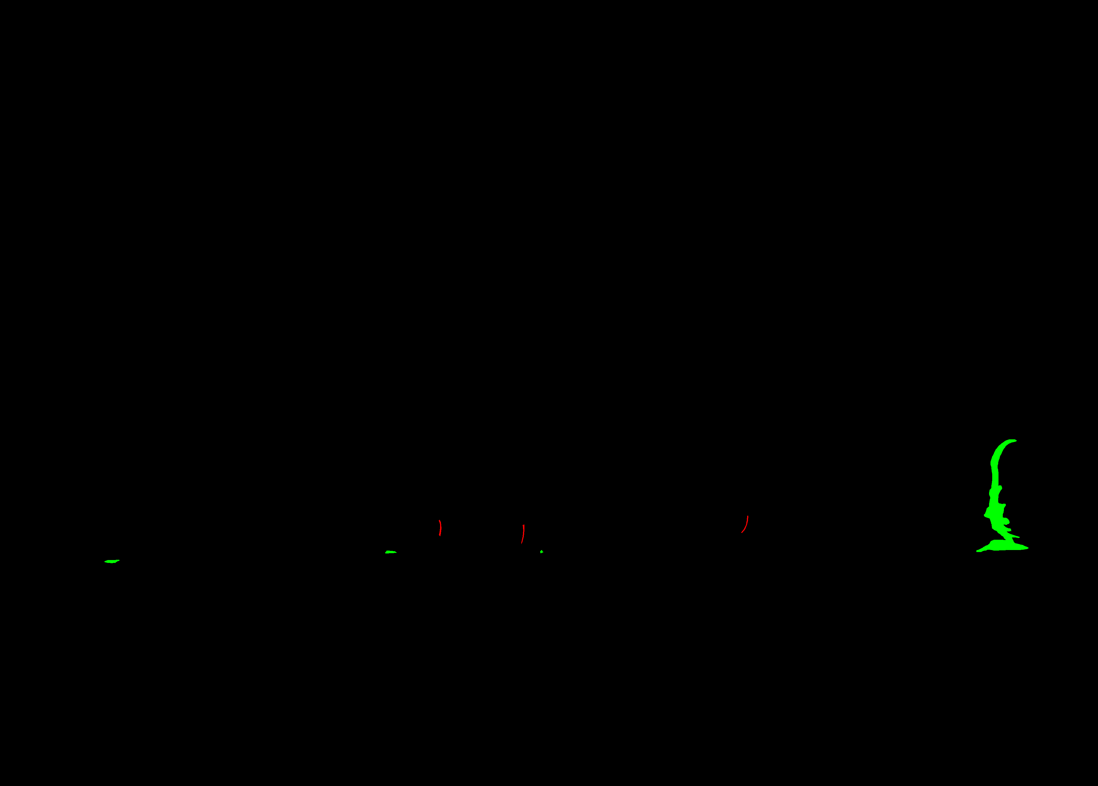 000000_rgb_mask.png