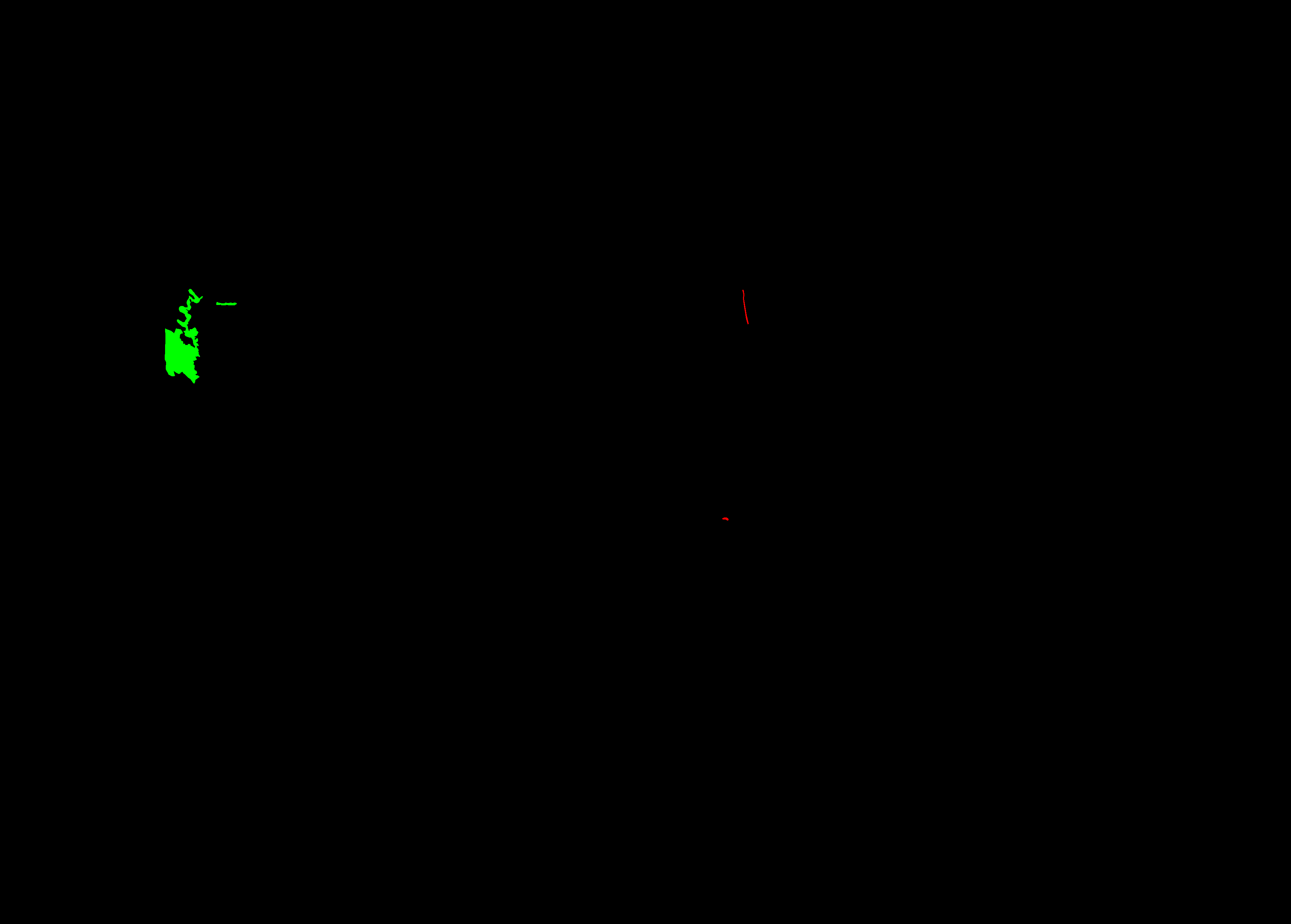 000021_rgb_mask.png