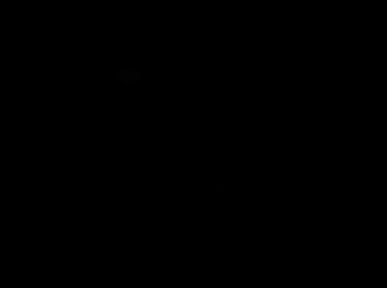 000040_mask.png
