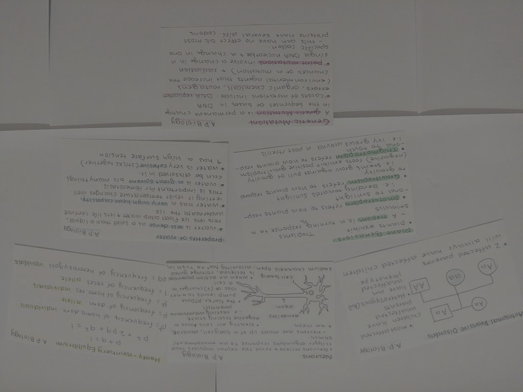 biology_multiturn_0018_turn0.png