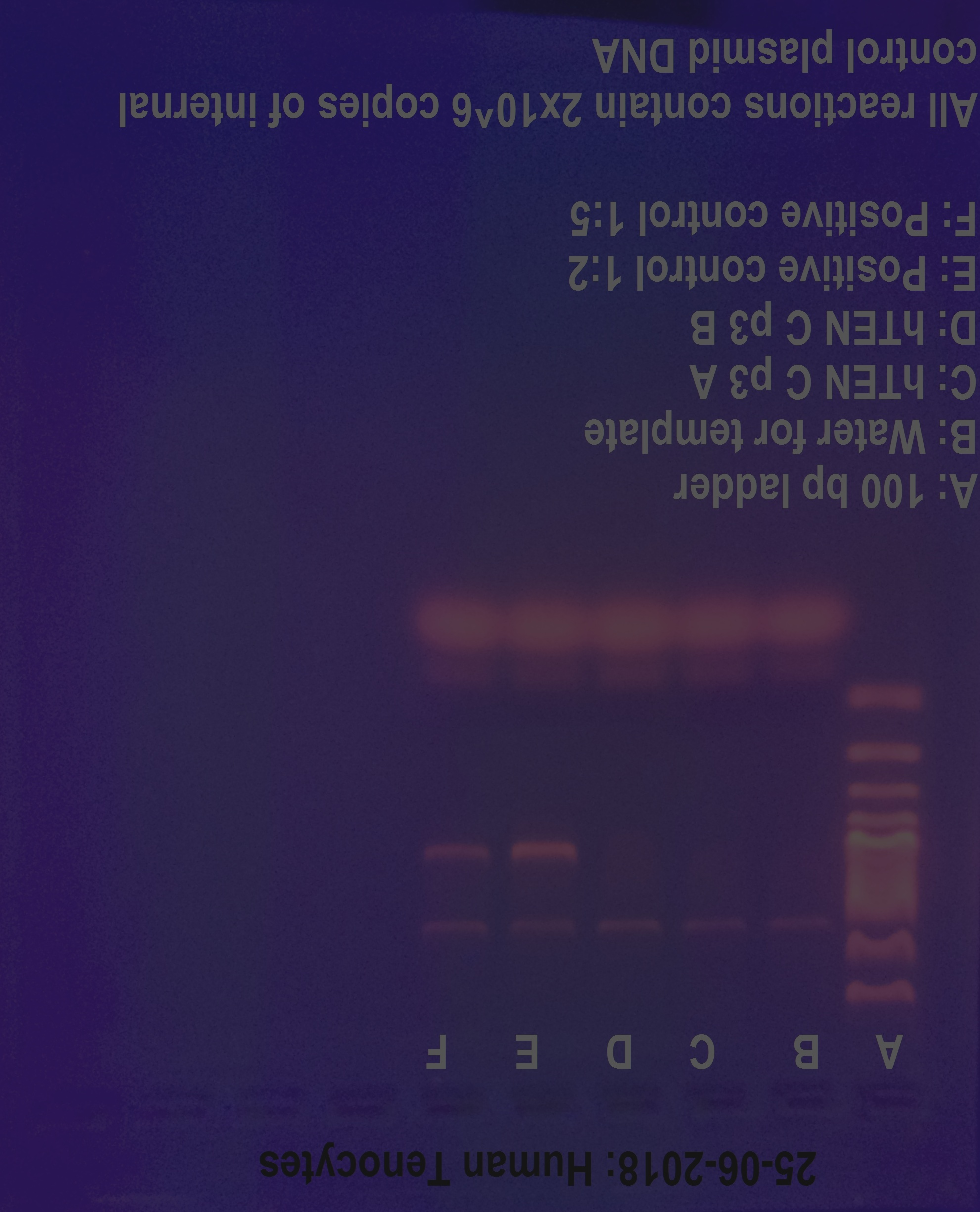 biology_multiturn_0021_turn0.png