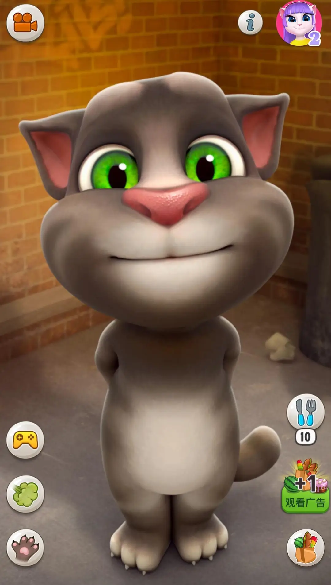 cat01.webp